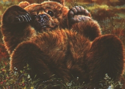 Un-Bearlievable