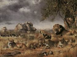 Wild World