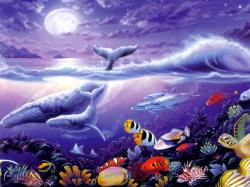 whales2003