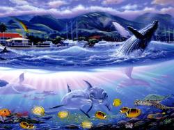 whales and dolphins