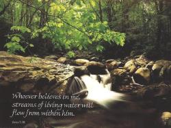 Whoever Believes