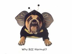 Why Be Normal