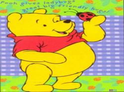 Winnie The Pooh & Lady Bug