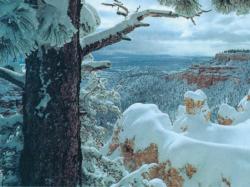 Winter View