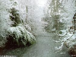 Winter Chill
