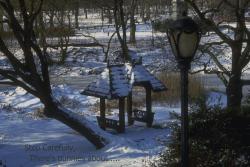 Winter Garden