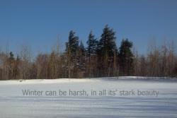 Winter Season