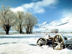 WINTERS WONDER