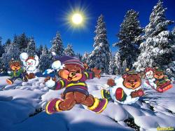 Wint Snowball
