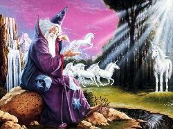 WIZARD AND UNICORNS