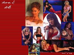 The Women of the WWF Wallpaper