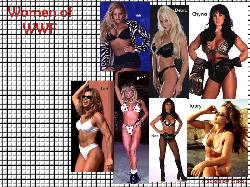 The Women of the WWF  2 Wallpaper
