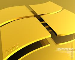 XPvidia